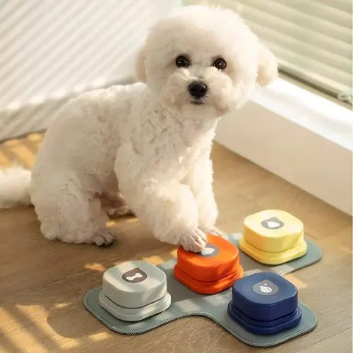 Fancy Trainable Dog Communication Toy